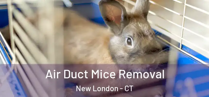  Air Duct Mice Removal New London - CT