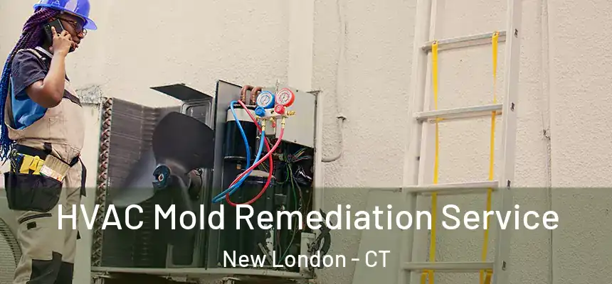  HVAC Mold Remediation Service New London - CT