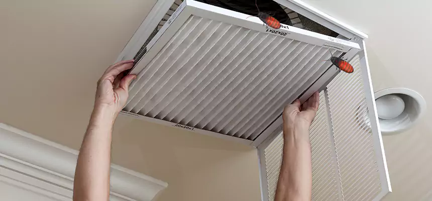 Preventive Cockroach-Proofing for Ducts in New London