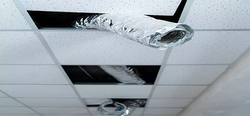 Our Air Duct Pet Hair Removal Services in New London, CT