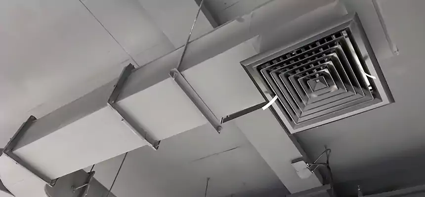 Restorative Allergy Relief Vent Cleaning – Coil, Blower & Housing Detail in New London