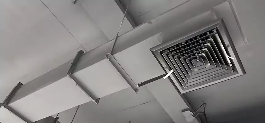 Our Rodent Droppings In Vents Services in New London, CT