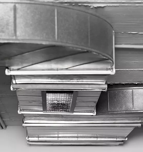 Professional Air Duct Pest Removal in New London, CT